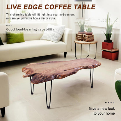 Rustic Coffee Table, Solid Camphor Wood Top, Live Edge, No Two Alike