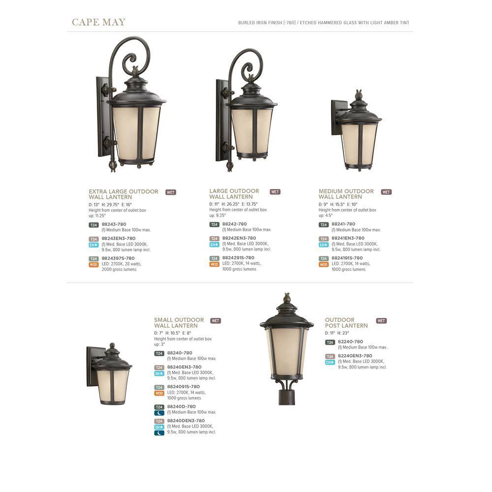 Cape May 1-Light Burled Iron Outdoor Wall Lantern Sconce