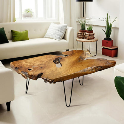 Rustic Coffee Table, Solid Camphor Wood Top, Live Edge, No Two Alike